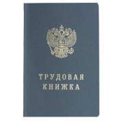 Бланк документа "Трудовая книжка" в твердой обложке, 88х125 мм (арт. 121229)