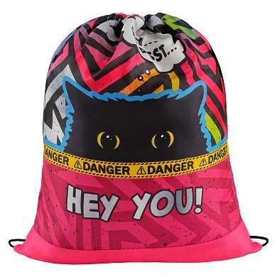 Мешок для обуви 1 отделение ArtSpace "Spy Cat", 340*420мм (арт. 350823)