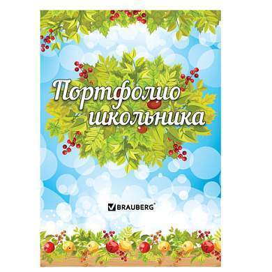 Листы-вкладыши для портфолио школьника, 14 разделов, 16 листов, "Окружающий мир", BRAUBERG, 126896 (арт. 126896)