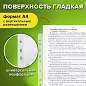 Папки-файлы перфорированные А4 STAFF "ЭКОНОМ", КОМПЛЕКТ 100 шт., гладкие, 22 - 25 мкм, 227374 (арт. 227374)