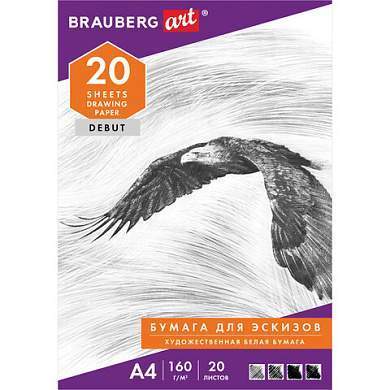 Папка для рисования А4, 20 л., 160 г/м2, BRAUBERG, 210х297 мм, "Орел", 125230 (арт. 125230)