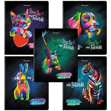 Тетрадь А5, 48 л., BRAUBERG, скоба, клетка, матовая ламинация, выборочный лак, "Animals Pop-Art" (микс в спайке), 404374 (арт. 404374)