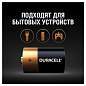 Батарейки КОМПЛЕКТ 2 шт., DURACELL Basic ОРИГИНАЛ, D (LR20, 13А), алкалиновые, блистер, MN 1300D LR20 (арт. 450401)