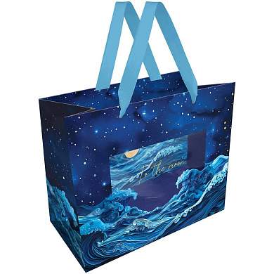 Пакет подарочный 23*18*10см MESHU "Moon sky", фольга, матовая ламинация (арт. 371134)