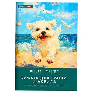 Бумага для гуаши и акрила А3 10 л., 235 г/м2, 297х420 мм, в папке, BRAUBERG ART CLASSIC, "Море", 117734 (арт. 117734)