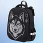 Ранец BRAUBERG SHINY, 2 отделения, с брелоком, "Husky", СВЕТЯЩИЙСЯ РИСУНОК, 38х28х14 см, 271383 (арт. 271383)