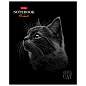 Тетрадь А5, 48 л., HATBER, скоба, клетка, матовая ламинация, 3D-лак, "Black Cat" (микс в спайке), 093159, 48Т5лолВ1 (арт. 405709)