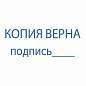 Штамп стандартный "КОПИЯ ВЕРНА, подпись", оттиск 38х14 мм, синий, TRODAT 4911P4-3.42, 54194 (арт. 236838)