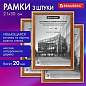 Рамка 21х30 см небьющаяся, КОМПЛЕКТ 3 шт., багет 20 мм дерево, BRAUBERG "Business", цвет светлое дерево, 391353 (арт. 391353)