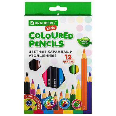 Карандаши цветные утолщенные BRAUBERG KIDS, 12 цветов, шестигранные, грифель 5 мм, натуральное дерево, 181878 (арт. 181878)