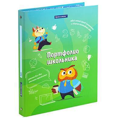 Папка-портфолио школьника "ОТЛИЧНИК", 4 кольца, 20 файлов, 10 вкладышей, 7БЦ матовая, BRAUBERG, 115240 (арт. 115240)