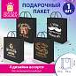 Пакет подарочный (1 штука) 18х10х23 см (M), "Man Collection", ассорти, крафт, ЗОЛОТАЯ СКАЗКА, 700804 (арт. 700804)
