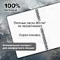Тетради ДЭК А4 96 л. КОМПЛЕКТ 2 шт., BRAUBERG, гребень, клетка, 80 г/м2, Soft-Touch, "Black Classic", 405584 (арт. 405584)