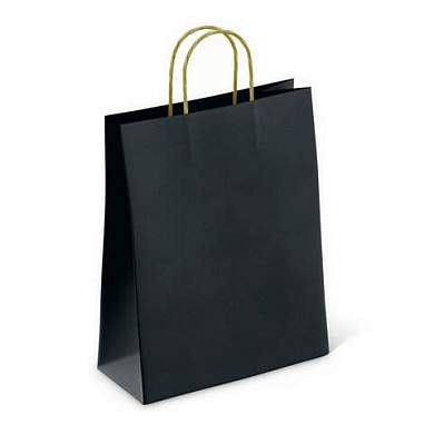 Крафт пакет бумажный Black 26х15х35см с кручеными ручками, плотность 80 гр/м2, моноцв, 112429 (арт. 701004)