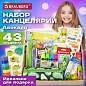 Набор канцелярии подарочный BRAUBERG "AVOCADO", 18 наименований, 43 предмета, 880951 (арт. 880951)