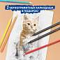 Карандаши цветные BRAUBERG PREMIUM 24 цвета + 2 чернографитных карандаша, трехгранные, грифель 3 мм, 181937 (арт. 181937)
