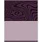 Тетрадь предметная 48л. BG "Single colour" - Информатика, эконом (арт. 374808)