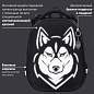 Ранец BRAUBERG SHINY, 2 отделения, с брелоком, "Husky", СВЕТЯЩИЙСЯ РИСУНОК, 38х28х14 см, 271383 (арт. 271383)