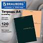 Тетрадь А4, 120 л., BRAUBERG, гребень, клетка, матовая ламинация, "Минимал Цвет", 405642 (арт. 405642)