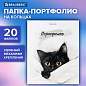 Папка-портфолио универсальная, 4 кольца, 20 файлов 10 вкладышей, 7БЦ матовая, BRAUBERG, 117557 (арт. 117557)