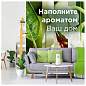 Сменный баллон 269 мл, GLADE "Свежесть утра", для автоматических освежителей, универсальный, 864979 (арт. 602185)