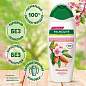 Шампунь 450 мл PALMOLIVE НАТУРЭЛЬ "Миндаль", для сухих, поврежденных волос, 8718951556362 (арт. 609042)