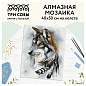 Алмазная мозаика ТРИ СОВЫ "Волчья мудрость", 40*50см, холст, картонная коробка с пластиковой ручкой (арт. 360896)