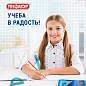Набор чертежный средний ПИФАГОР (линейка 20 см, 2 треугольника, транспортир), тонированный, европодвес, 210628 (арт. 210628)