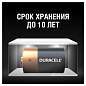 Батарейки КОМПЛЕКТ 2 шт., DURACELL Basic ОРИГИНАЛ, D (LR20, 13А), алкалиновые, блистер, MN 1300D LR20 (арт. 450401)