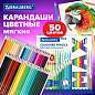 Карандаши цветные супермягкие яркие BRAUBERG MAX, 50 цветов, трехгранные, грифель 3,3 мм, натуральное дерево, 181860 (арт. 181860)