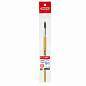 Кисть ПИФАГОР, ПОНИ, круглая, № 10, деревянная лакированная ручка, колпачок, пакет с подвесом, 200839 (арт. 200839)