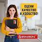 Папка на резинках BRAUBERG "Business", А4, 13 отделений, пластиковый индекс, черная, 0,5 мм, 224147 (арт. 224147)