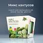Набор для выращивания растений МАГИЯ ЦВЕТОВ, "Кактусы микс", (горшок, грунт, семена),, mf-003 (арт. 666762)
