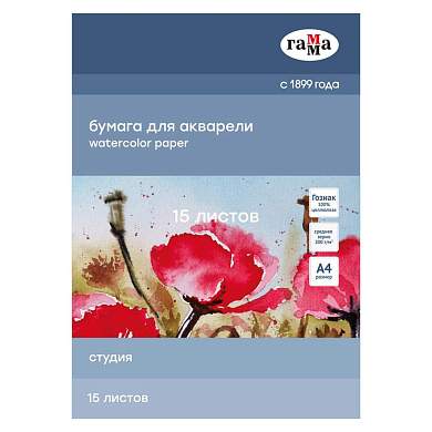 Папка для акварели, 15л., А4, Гамма "Студия", 200г/м2, среднее зерно (арт. 346937)