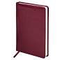 Ручка шариковая PARKER "Jotter Plastic CT", корпус красный, ежедневник А5 красный, пакет, 880897 (арт. 880897)