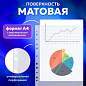 Папки-файлы перфорированные А4 BRAUBERG "EXTRA 1000", КОМПЛЕКТ 50 шт., матовые, ПЛОТНЫЕ, 100 мкм, 229671 (арт. 229671)