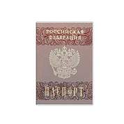 Обложка для паспорта прозрачная с матовым рисунком, ПВХ, ДПС, 2203.180.М (арт. 239049)