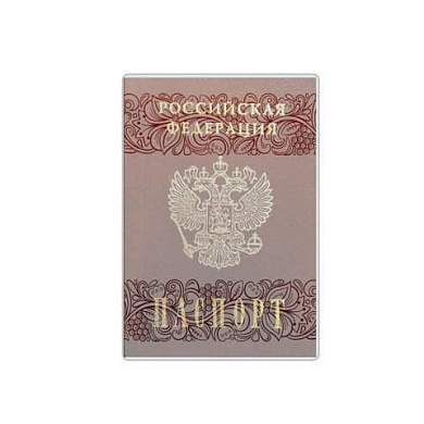Обложка для паспорта прозрачная с матовым рисунком, ПВХ, ДПС, 2203.180.М (арт. 239049)