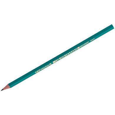 Карандаш ч/г Bic "Evolution" HB, заточен., пластиковый (арт. 001081)