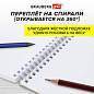 Скетчбук, белая бумага 100 г/м2, 140х201 мм, 60 л., гребень, жёсткая подложка, BRAUBERG ART DEBUT, "Корги", 115064 (арт. 115064)
