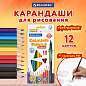 Карандаши цветные BRAUBERG PREMIUM 12 цветов + 1 чернографитный карандаш, трехгранные, грифель 3 мм, 181936 (арт. 181936)