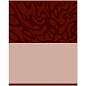 Тетрадь предметная 48л. BG "Single colour" - Химия, эконом (арт. 374798)