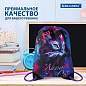Мешок для обуви BRAUBERG PREMIUM, карман, подкладка, светоотражайка, 43х33 см, "Neon cat", 271621 (арт. 271621)