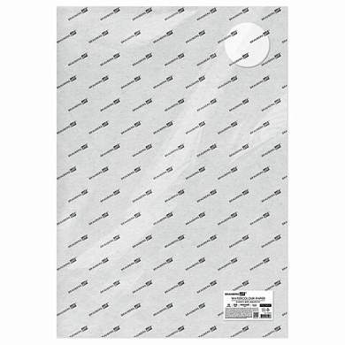 Бумага для акварели 300 г/м2 460x660 мм мелкое зерно, 10 листов, BRAUBERG ART PREMIERE, 113232 (арт. 113232)