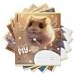 Тетрадь 12 л., клетка, обложка картон, ERICH KRAUSE, "Fluffy" (микс в спайке), 63248 (арт. 107799)