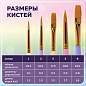 Кисти СИНТЕТИКА набор 5 шт. (круглые № 1, 2, 5, плоские № 5, 8), блистер, BRAUBERG KIDS, 201075 (арт. 201075)
