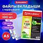 Папки-файлы МАЛОГО ФОРМАТА (148х210 мм), А5, ГОРИЗОНТАЛЬНЫЕ, КОМПЛЕКТ 100 шт., 35 мкм, BRAUBERG, 223085 (арт. 223085)