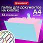 Папка-органайзер на кнопке 12 отделений, BRAUBERG "Extra", А4, голубая с розовым, 271932 (арт. 271932)