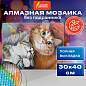 Картина стразами (алмазная мозаика) 30х40 см, ОСТРОВ СОКРОВИЩ "Тёплая дружба", без подрамника, 662561 (арт. 662561)
