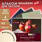 Бумага для пастели ФАКТУРНАЯ, А3, планшет (склейка), 20 листов, 4 цвета, 270 г/м2, BRAUBERG ART, 117762 (арт. 117762)